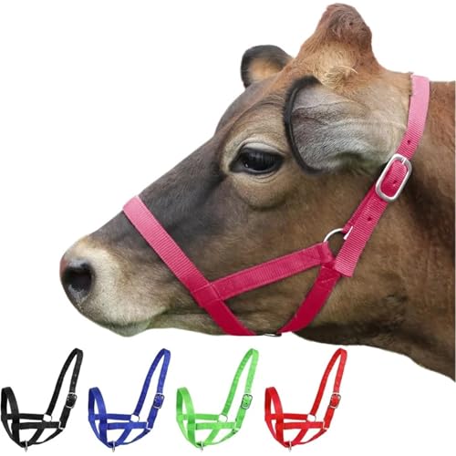 Cattle Halter Adjustable Nylon Head Halter for Cattle&Horses–Breathable Rope Lead Leash,Tether Tie for Farm Animals for Gentle Control Calves During Grooming - color: Blue, size: L(950-1500lbs)