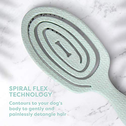 BioSilk for Dogs Eco-Friendly Boar Hair Bristle Brush in Mint Green | Easy to Hold Ergonomic Handle Dog Brush for Shedding | Best Pet Brush for Dog Grooming - 48 Pack - size: 48 Count
