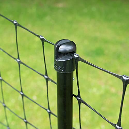 Omlet Chicken Fencing | High Poultry Netting with Door | Significantly Higher Than Other Moveable Fencing Options on The Market | Give Your Chickens More Space | 39ft - size: 39ft