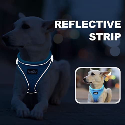 haapaw Dog Harness with Leash Set, No Pull Adjustable Reflective Step-in Puppy Harness with Thickened Padded Vest for Extra-Small/Small Medium Dogs - color: Grey / Blue, size: XS