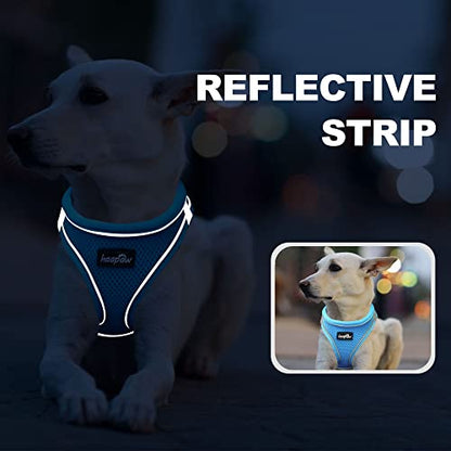 haapaw Dog Harness with Leash Set, No Pull Adjustable Reflective Step-in Puppy Harness with Thickened Padded Vest for Extra-Small/Small Medium Dogs - color: Grey / Blue, size: M