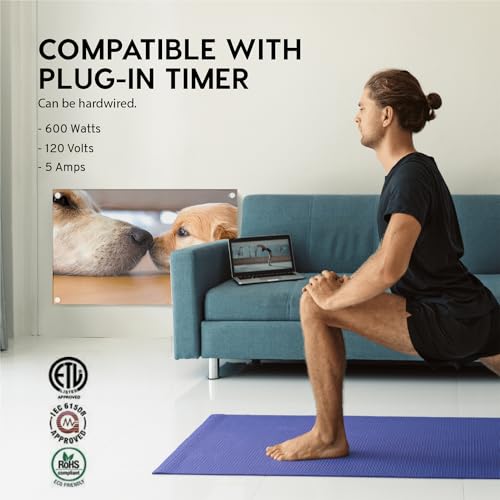 EconoHome Wall Mount Space Heater Panel - with Thermostat - 600 Watt Convection Heater - Ideal for 200 Sq Ft Room - 120V Electric Heater - color: Puppy