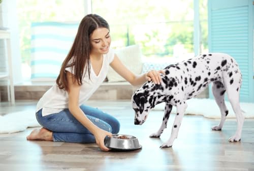 Van Ness Pets Medium Non Tip Stainless Steel Dog Bowl, 32 OZ Food and Water Dish, Wide Base Prevents Spills - size: 32 OZ - MEDIUM