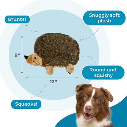 Outward Hound Hedgehogz Stuffed Dog Toy – Soft Plush Hedgehog, Grunts & Squeaks, XL, 12" x 8.5" x 9" - size: X Large (Pack of 1)