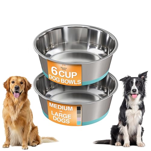 Neater Pet Brands Stainless Steel Dog Bowls with Non-Slip Rubber Bottom – Set of 2, 6 Cup (48 oz), Teal - Heavy Duty Metal Dog Bowl, Dishwasher Safe, Food or Water Bowl, Ideal for Large Dogs - color: Teal, size: 6 Cup (Set of 2)