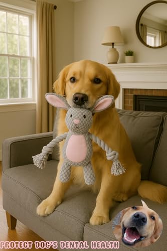 Bunny Dog Toy with Rope Arms – Squeaky Plush Rabbit for Small & Medium Dogs, Soft Chew & Tug Toy for Interactive Play, Easter Puppy Toy Gift - color: Grey
