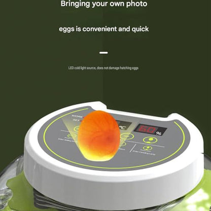 JUJOJB Egg Incubators for Hatching Eggs, Egg Incubator with Temperature and Humidity Control, Egg Candler, Automatic Egg Turner, Clear Window Incubator for Chicks Duck Quail Eggs