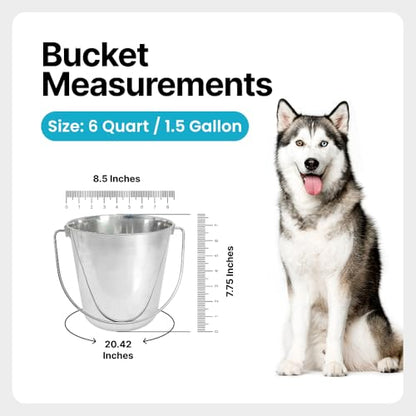 1.5 Gallon Heavy Duty Stainless Steel Bucket - Rust-Resistant Metal Bucket for Feeding & Watering Pets, Livestock & Cleaning - Perfect for Crates, Kennels, Cages & Hang on Fences - 6 Quart - size: 6 Quarts
