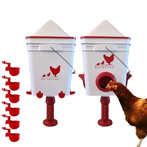 RentACoop Chicken Feeder & Waterer Set– 25lb No-Waste Feeder with 4 Large Ports + 5-Gallon Waterer with Auto-Fill Cups & Horizontal Nipples – BPA-Free, Anti-Roost Cone, Adjustable Stands