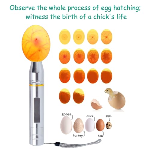 Cold Light LED lamp Egg Illuminator Egg Hatching Illuminator Suitable for Eggs, Duck Eggs, Bird Eggs, All Kinds of Eggs Illuminator