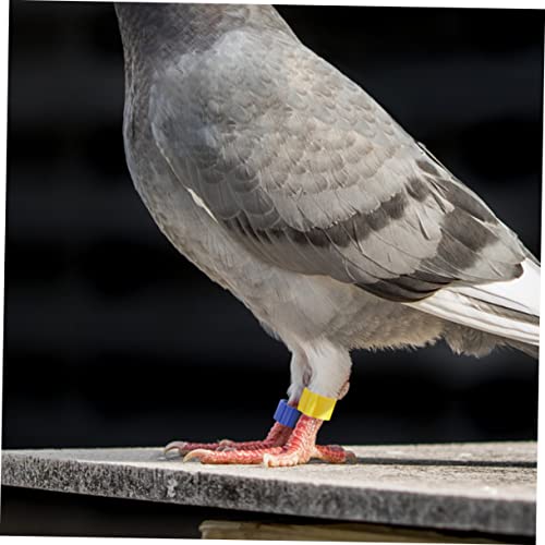 COLLBATH 150Pcs Durable Pigeon Identification Rings Lightweight Mixed Color Bird Foot Bands for Easy Identification of Pigeons Parrots and Chickens for Racing