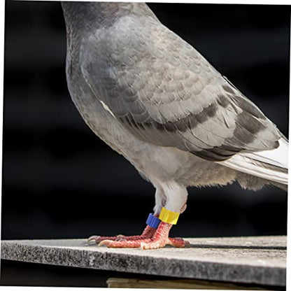 COLLBATH 150Pcs Durable Pigeon Identification Rings Lightweight Mixed Color Bird Foot Bands for Easy Identification of Pigeons Parrots and Chickens for Racing