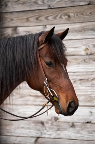 Thinline Busy Buddy - Equestrian Tack Accessories Durable Versatile Easy to Use Universal Horse Calming Pacifier Relaxation Tool with Latex Mouth Piece - style: Bridle Busy Buddy