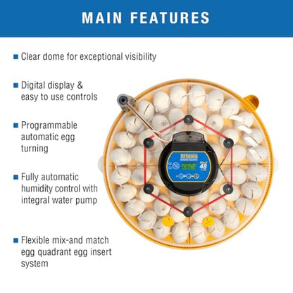 Brinsea Maxi 48 EX Egg Incubator with Automatic Humidity Control and Egg Turning for Hatching 48 Chicken, Duck, or Other Eggs, Optimal Flexibility with Mix & Match Sizes