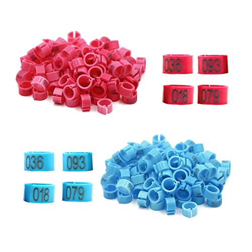 200Pcs Bird Leg Bands, Chicken Birds Leg Rings 8mm Pigeon Ring Numbered Bird Leg Bands Plastic Red Blue Birds Identification Leg Bands Serial Number Rings for Chicks Bantam Quail Lovebirds Finch