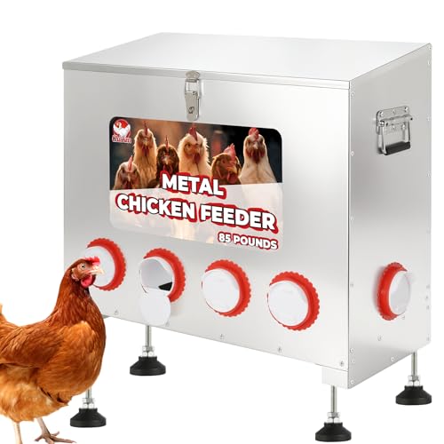 Sidasu 85 lbs 6-Port Galvanized Chicken Feeder No Waste with Locking Lid&Riveted Handles,Adjustable Height,Large Capacity Rainproof Automatic Chicken Feeders for Chickens, Poultry Coop,Silver - size: 85lbs