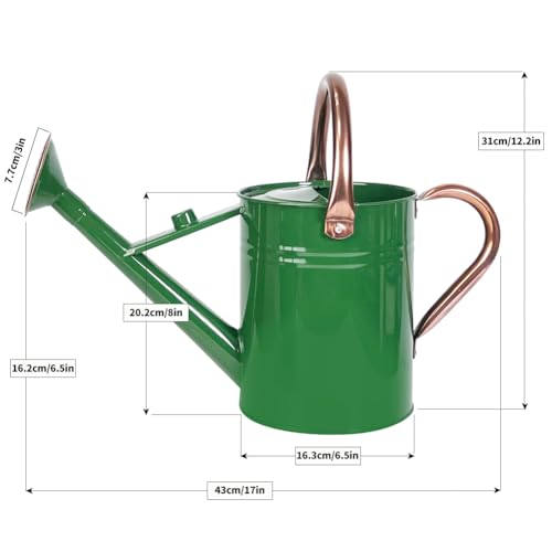 1 Gallon Metal Watering Can with Removable Spout, Nice Galvanized Steel Water Can for Indoor and Outdoor Plants (House Plants) - color: Green