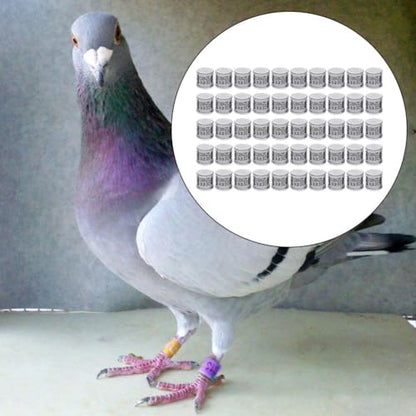 50 Pieces Pigeon Leg Rings Bird Rings Clips Aluminum Band Chicks Identification Band Reusable Suitable for Bird breeding Training Farm