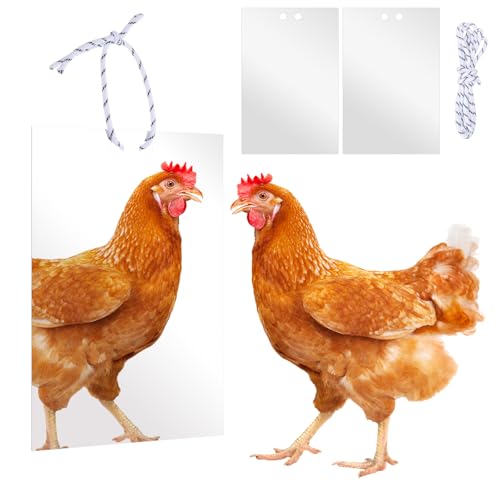 Large Chicken Mirror Toys Acrylic Hanging Swing Mirror for Hens Birds Parrots（7.8inch*11.8inch）