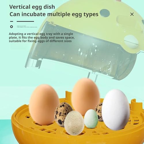 Egg Incubator, Rutin Chicken Egg Incubator for Hatching Eggs, Small Clear Egg Hatching Incubator, Automatic Smart Control Hatcher Machine for Variety Size of Eggs