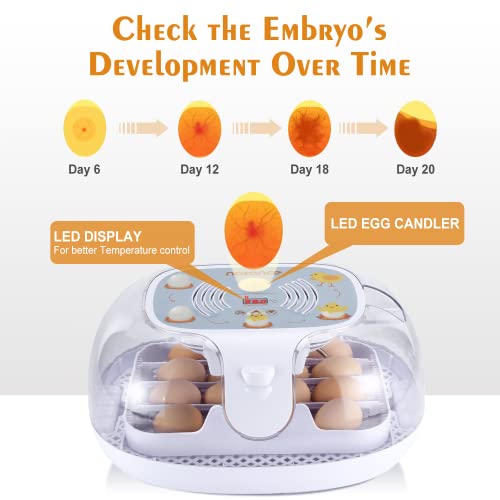 Egg Incubator with Automatic Egg Turner, Temperature Control, and Egg Candle Function - Perfect for Hatching Chicken, Duck, and Turkey Eggs at Home or on The Farm