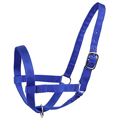 Derby Originals Adjustable Nylon Livestock Cattle Halters - color: Royal Blue, size: Medium (500-800lbs)