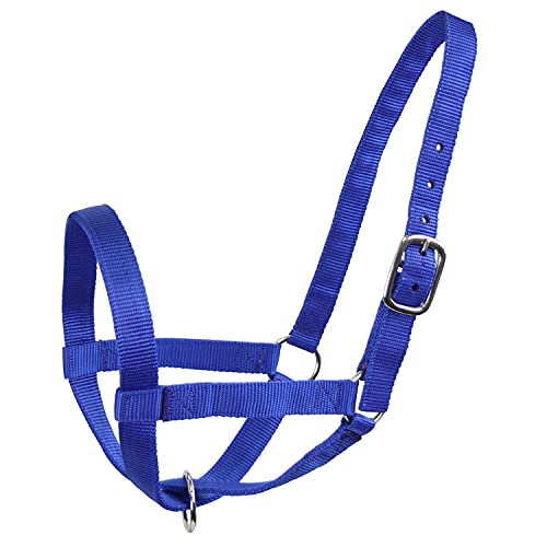 Derby Originals Adjustable Nylon Livestock Cattle Halters - color: Royal Blue, size: Large (800-1400lbs)