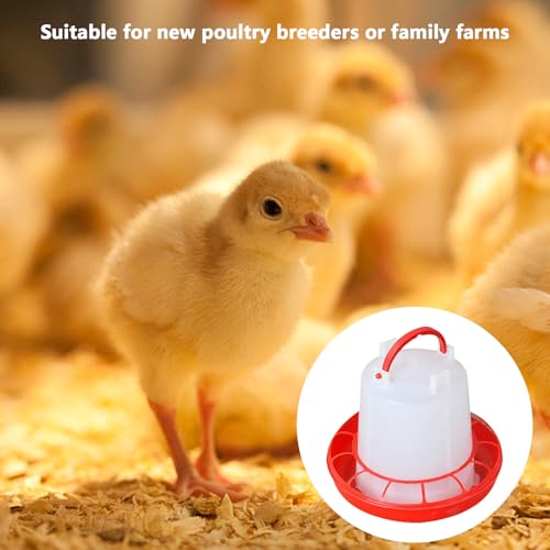 Poultry Feeder, Chicken Feeder and Waterer Set, Food Dispenser, Starter Kit, Baby Supplies - color: style5