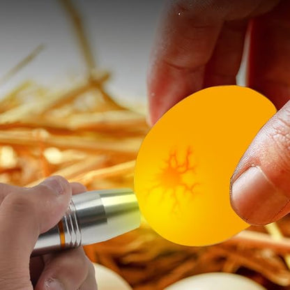 Cold Light LED lamp Egg Illuminator Egg Hatching Illuminator Suitable for Eggs, Duck Eggs, Bird Eggs, All Kinds of Eggs Illuminator
