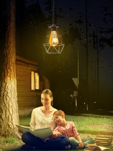 intelamp Solar Pendant Lights Indoor Outdoor, 4000mAh Gazebo Shed Chandeliers with Remote Dust to Dawn Mode 16.4Ft Hanging Lighting Interior for Outside Barns Toolsheds Chicken Coop - size: Diamond (1-Pack)