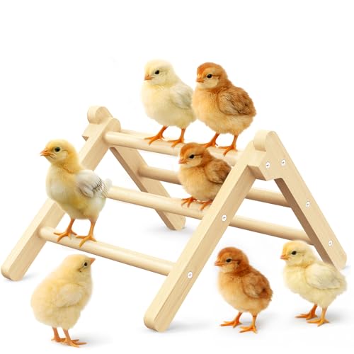 Innoland Chick Perch Foldable, Chick Toys Stable & No Assemble, Baby Chick Toys for Stand Training, 12.44" ×11.02" ×7.44" Chick Roosting Perch for Chicks Brooder | Coop (L) - size: 12.44" ×11.02" ×7.44"