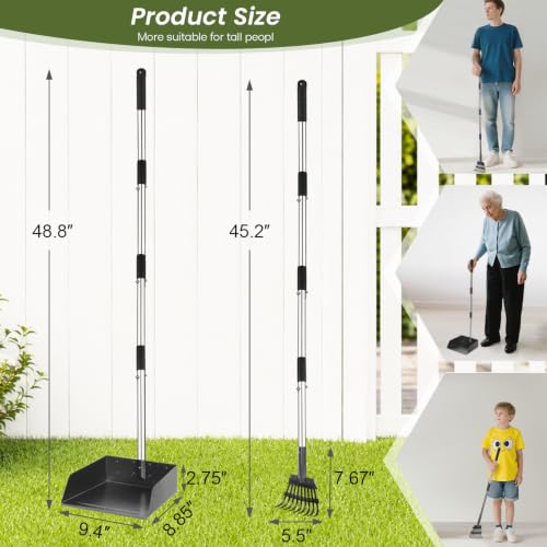 T2Y Dog Pooper Scooper for Multi-Dog Family, Long Handle Rake & Large Tray | 48" Tall No-Bend | 9.4'' Large Tray | Stainless Steel | Adjustable | Works on Grass, Gravel & Dirt | Easy to Install - size: Rake & Large Tray