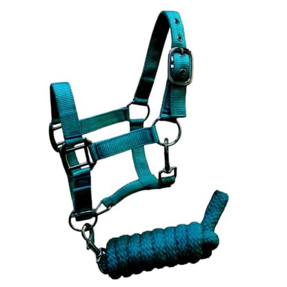 Pony Size Nylon Halter with Removalbe 7' Lead (Teal) - color: Teal