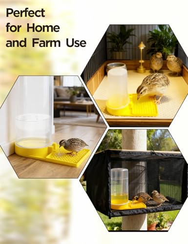 Large Capacity Quail Water Feeder,Button Quail Supplies for Quails Cage, Multi-Use as Quail Feeder, Quail Waterer, Chick Waterer,Baby Chick Waterer, Ideal Quail Feeders for Baby Bird