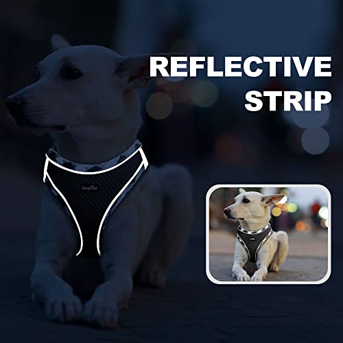 haapaw Dog Harness with Leash Set, No Pull Adjustable Reflective Step-in Puppy Harness with Thickened Padded Vest for Extra-Small/Small Medium Dogs - color: Black, size: XS