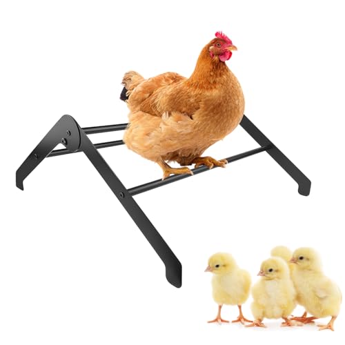 Adjustable Chicken Roosting Bars for Coop & Brooder – Heavy-Duty Metal Roost Ladder, Chick Perch for Hens, Farm-Ready Roosting Bar (Black)