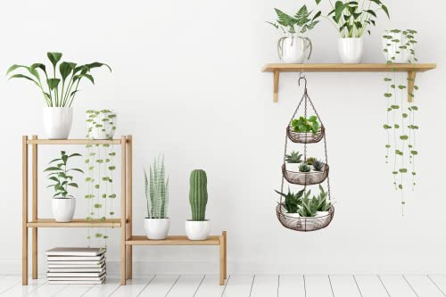 CAXXA 3-Tier Hanging Basket Fruit Organizer Kitchen Heavy Duty Wire Organizer with 2 Free Bonus Metal Ceiling Hooks(Bronze) - color: Bronze