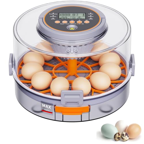 12 Egg Incubator with Automatic Egg Turning and Humidity Control 760° Turner,Incubators for Hatching Eggs, High Hatchr for Chicken Duck Quail Pigeon,Science Classroom, Home | Incubator for Chicken Eggs,Duck,Goose,Quail,Snake,Egg Incubator with Automatic E