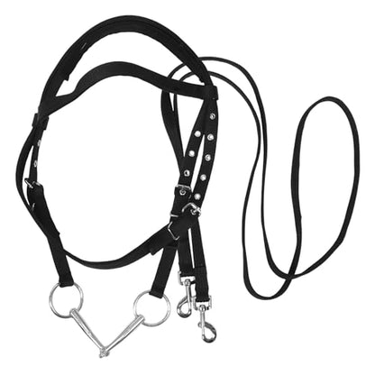 Bridle Rope Horse Cattle Halter Halters for Horses Nylon Training Reins