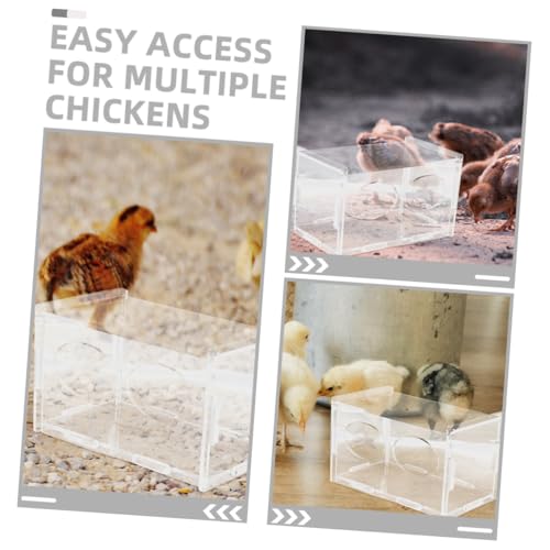 3pcs Chicken Feeder Automatic Poultry Feeding Container for Chickens and Quails Easy to Clean Promotes Feeding Schedule for Backyard Farmers