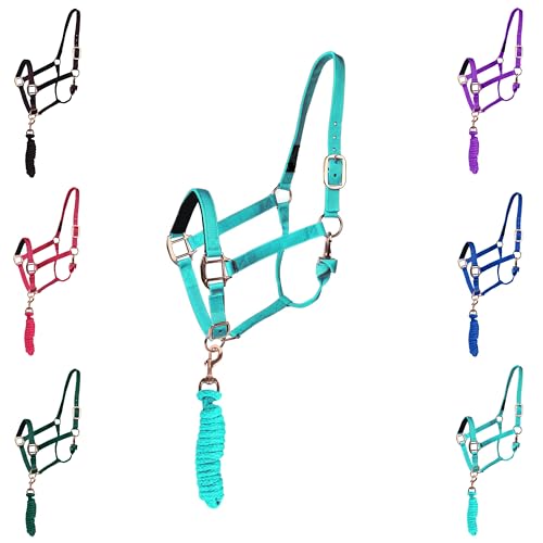 Majestic Ally Halter with Lead Rope for Horses–Adjustable Chin and Crown–Rolled Throat Latch with Replaceable Snap–Padded Noseband–Heavy Duty Rose Gold Finish Hardware - color: Turquoise, size: Draft