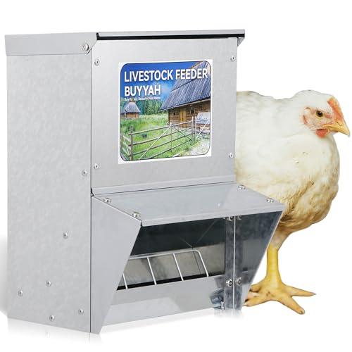 Automatic Chicken Feeder, 30 lb Capacity, Galvanized Metal Poultry Feeder, Waterproof Chicken Feeder, Suitable for Poultry, Geese, Quails, Bantams, Ducks and Turkey