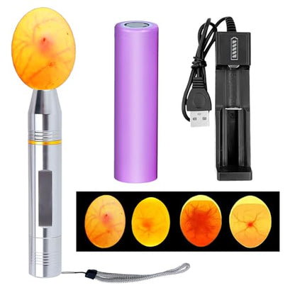 Cold Light LED lamp Egg Illuminator Egg Hatching Illuminator Suitable for Eggs, Duck Eggs, Bird Eggs, All Kinds of Eggs Illuminator