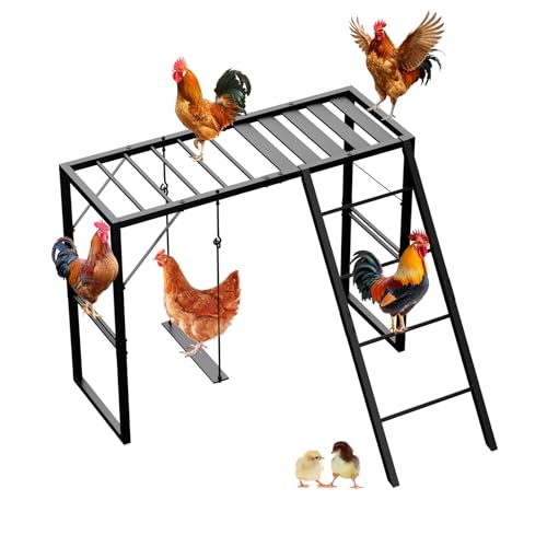 Metal Chicken Perch with Swing Set and Ladder, Rustproof Roosting Bars for Chickens in Coop or Run, Outdoor Chicken Playground & Jungle Gym Accessories to Keep Flock Happy and Active, Black - color: Black