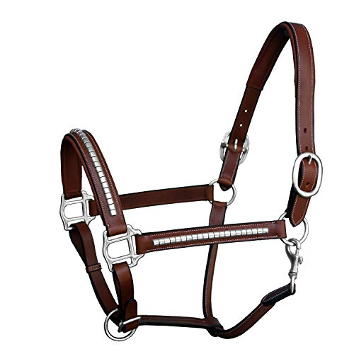 Exion Luxury Leather Horse Halter with Clincher Studs– Comfort Padded Anatomical Crown & Noseband– Quick-Release Snap Throat Latch– Vegetable Tanned Leather in Black/Brown - color: Oak Brown, size: Warm Blood (Over Size)