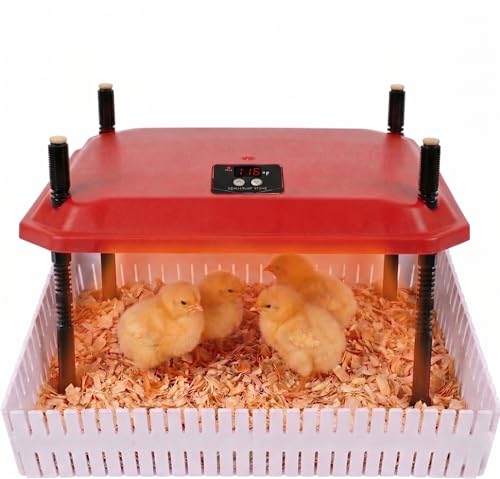 12"x12" Chick Brooder Heater Plate with 4 Cuttable Divider Panels - Adjustable Poultry Heater for 20 Chicks, Draft-Free Pen to Prevent Wandering, Safe Heat Lamp Alternative - color: 12"*12"