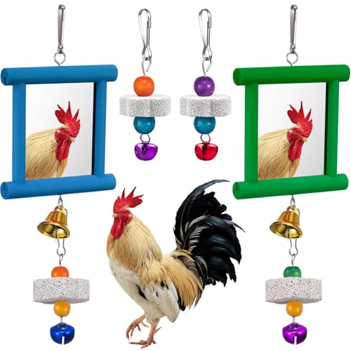 Sumind 2 Pieces Chicken Mirror Toys Hanging Swing Mirror with Bell Wooden Pecking Toy and 4 Pieces Beak Grinding Molar Stones for Hens Birds Parrots(Blue,Green) - color: Blue,Green