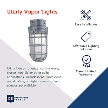 Lithonia Lighting Jelly Jar Light Fixture, Incandescent Utility Vapor Tight Ceiling Lamp, Industrial Style Wall Light for Indoor and Outdoor Use, 150W, 120V, Includes Junction Box, Grey (VC150I M12) - size: 150W Max, style: Ceiling Mount