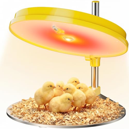 IVJ Chick Brooder Heating Plate with LED Light, 45W Adjustable Temperature Brooder Plate for 15-20 Baby Chicks, Digital Display Heating Plate for Chicks