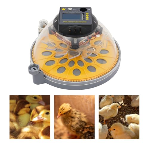 12 Egg Incubator with Automatic Egg Turning & Humidity Control, LCD Display Temp Humidity, Dual Power Ac/Dc with External Battery Cable for Hatching Chicken Duck Eggs Home Farm